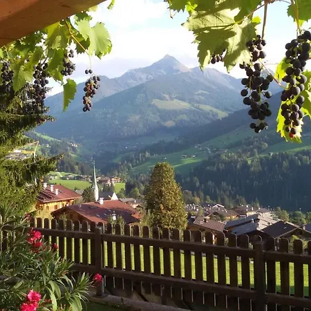 Moaeben Apartmán Alpbach