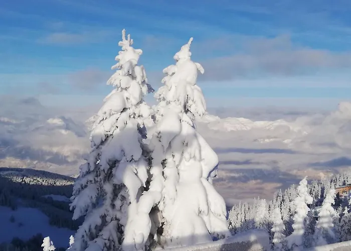דירה Moaeben אלפבאך